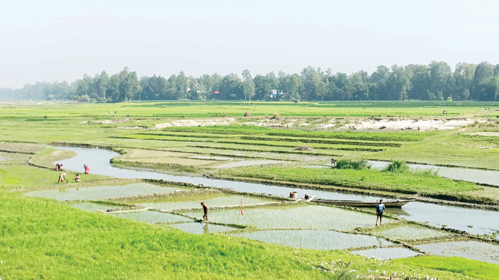 Kaliganga River turns into lifeless canal