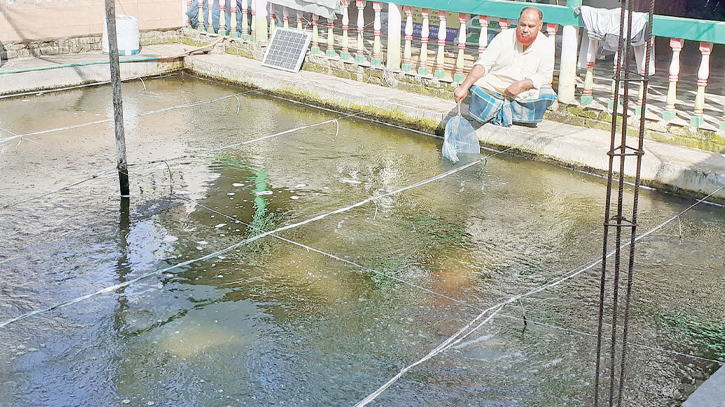 Biofloc fish farming brings boon to entrepreneurs