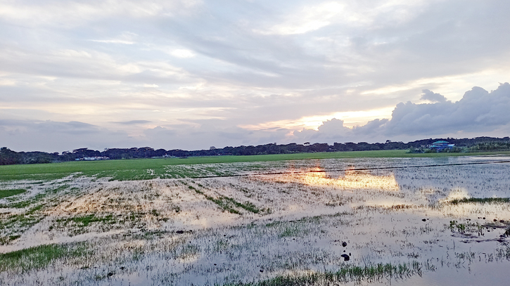 Looming land crisis prompts farmers to change profession