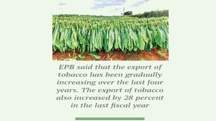 Tobacco export surpasses target by 21pc in H1