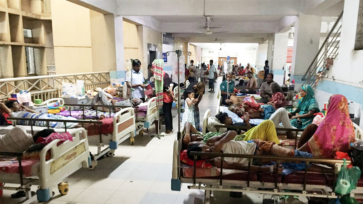 17 dengue patients die, 2014 hospitalised in 24 hrs