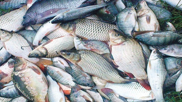 Fish exports fall, agricultural item exports surge