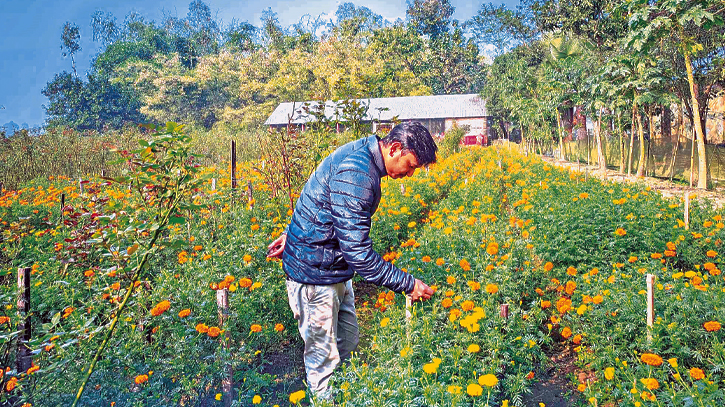 Agricultural entrepreneurs thrive in flower cultivation  