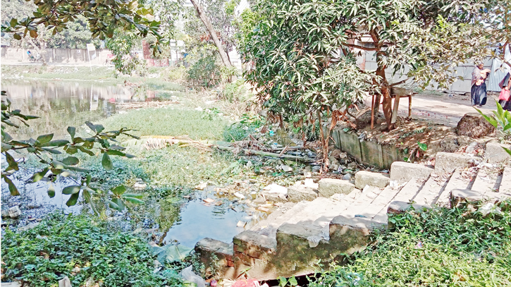 200-year-old pond struggles with neglect, contamination 