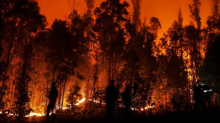 10 feared dead in Chile forest fires : officials