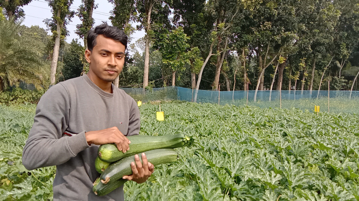 Squash farming sees success in Jashore 