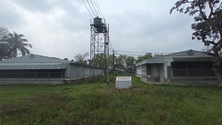 Automated poultry sheds closed for 14 months in BAU