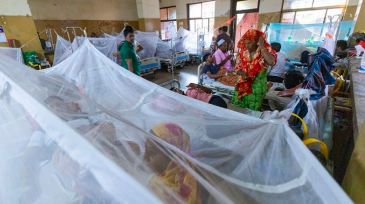 449 more dengue patients hospitalised in 24 hours