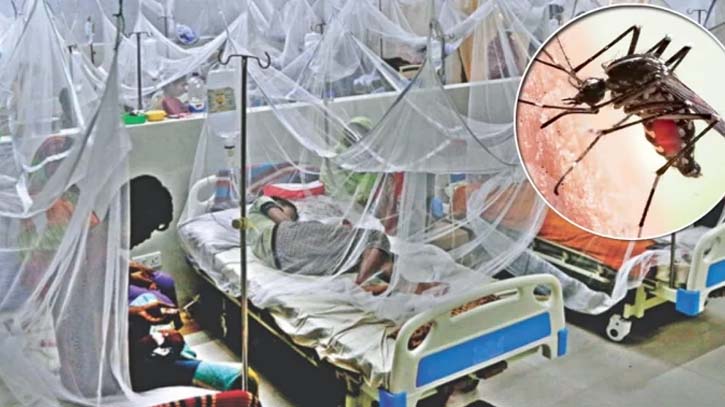 This year’s dengue death toll rises to 67 with two deaths in 24 hours