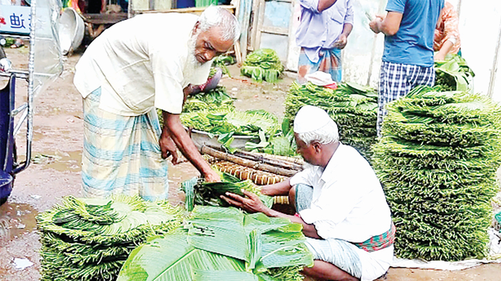 Betel leaf market thrives as crowds flock every week in Raipur 