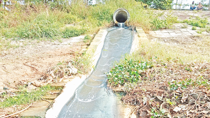 Tannery effluents in Savar threatens agriculture, biodiversity 