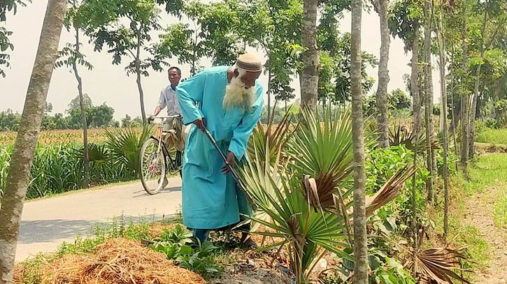 Octogenarian plants 52, 000 palm trees