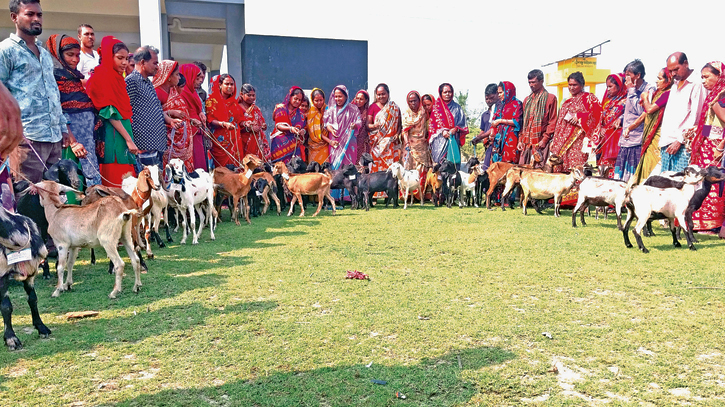 Cattle farming brings fortune to villagers