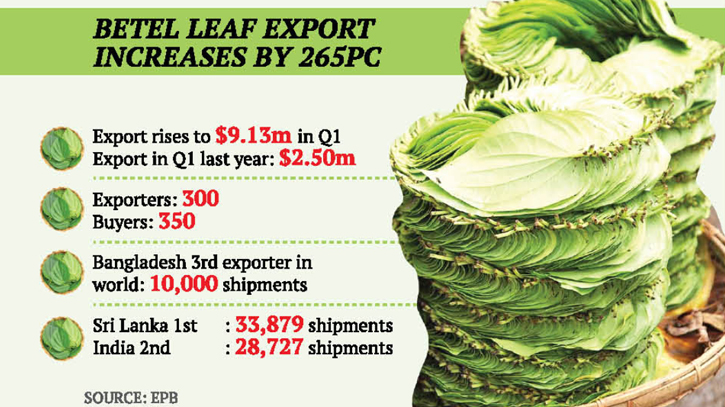 Boost in betel leaf exports as EU lifts ban