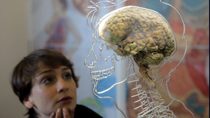 Brain implant may enable communication from thoughts alone