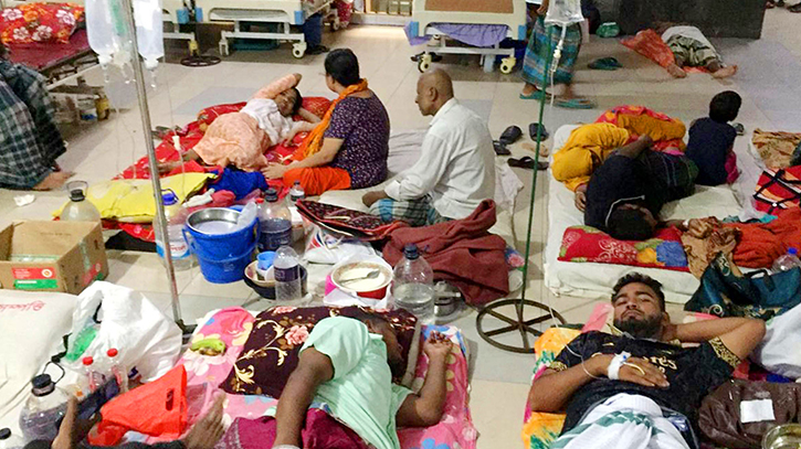 11 dengue patients die; 956 hospitalised in 24hrs