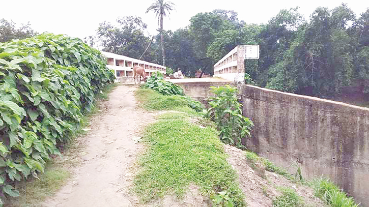 Neglected bridge leaves commuters in distress