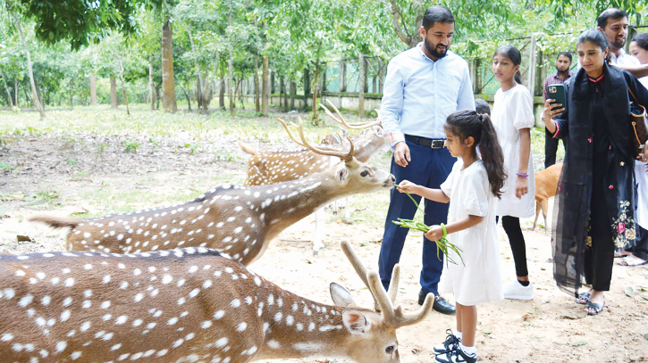 Dulahazara Safari Park witnesses surge in wildlife breeding 