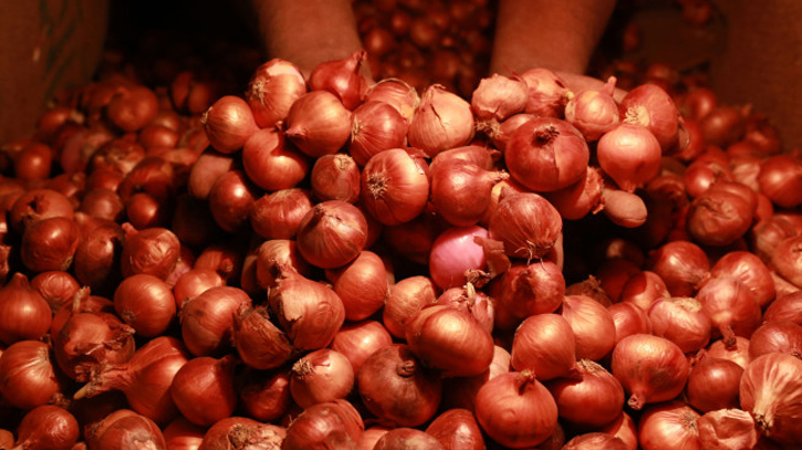 Newly harvested onion likely to tame volatile market : Agriculture Ministry