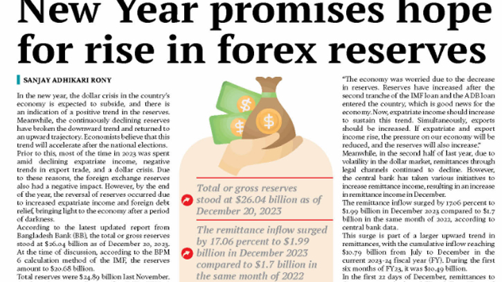 New Year promises hope for rise in forex reserves