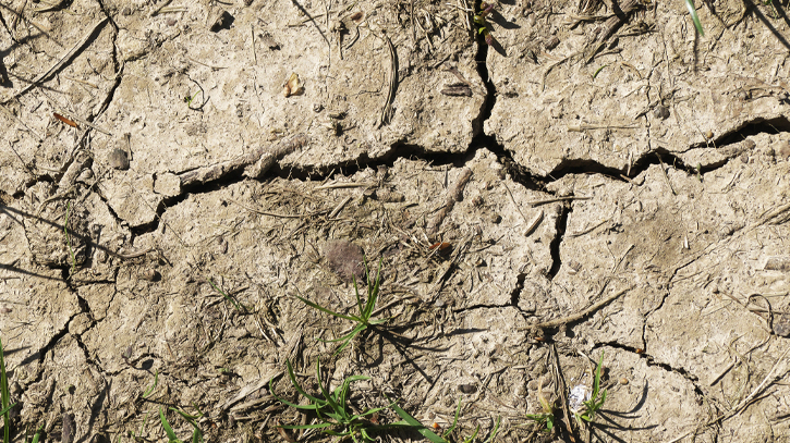 Extreme weather to impact farming for next 10 years