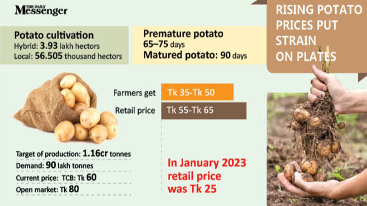 Premature potato harvest impacts total production