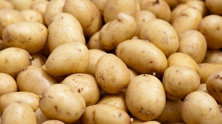 Govt to import potato to stabilize market