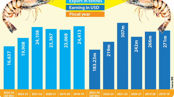 Global economic recession eats up shrimp revenue by 28pc