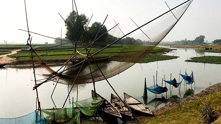 আত্রাইয়ে দেখা নেই সূর্যের, বৃষ্টির মতো ঝরছে শিশির