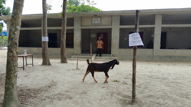 ভোটকেন্দ্রে ভোটার নেই, আছে শুধু ছাগল!