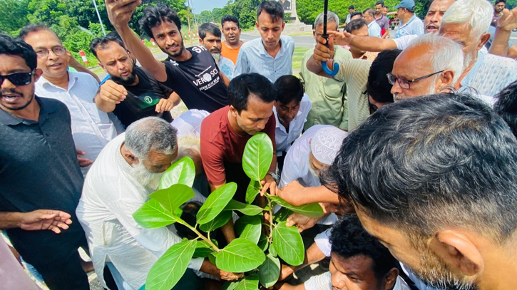 উৎরাইল-শিবচর আঞ্চলিক সড়কে বৃক্ষরোপণ গ্রামবাসীর