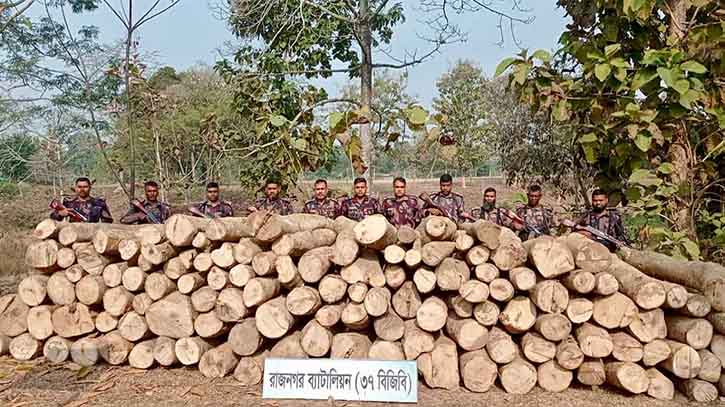 বিজিবির অভিযানে লংগদুতে কাঠ জব্দ