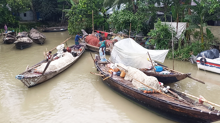 ভরা মৌসুমে মেঘনায় ইলিশের দেখা নেই