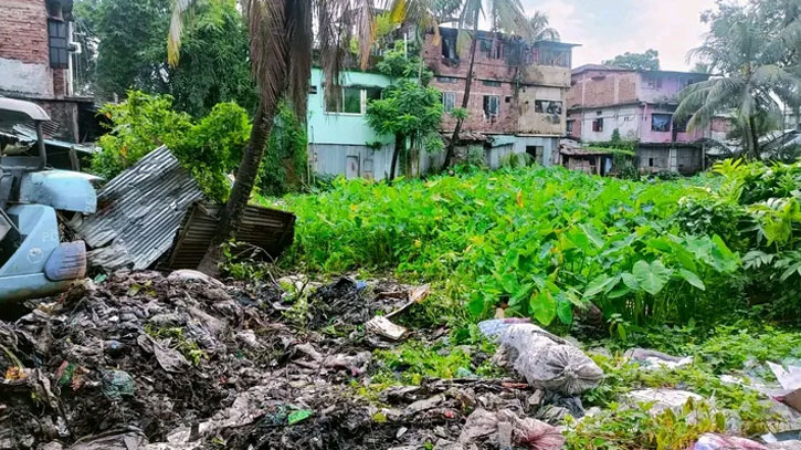 লামায় দখল-দূষণ মুক্ত হয়ে প্রাণ ফিরে পাচ্ছে শতবর্ষী পুকুর