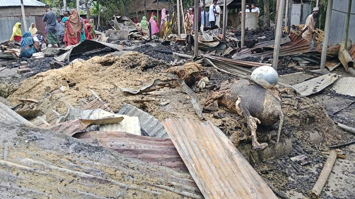 রংপুরে আগুনে পুড়ে ছাই ৫ পরিবারের ঘর গবাদিপশু