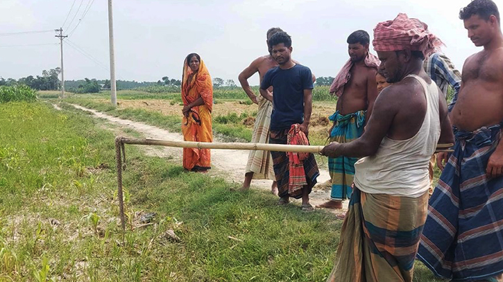 রাসেল ভাইপার আতংকে পদ্মার দুর্গম চরাঞ্চলের মানুষ