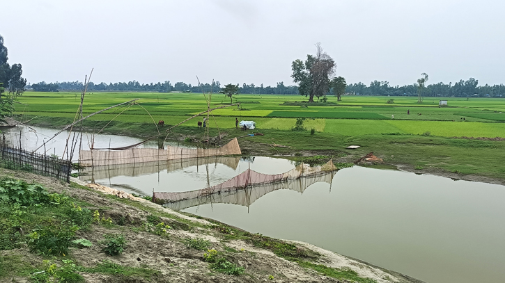 চিলমারীতে পাউবোর জায়গায় প্রভাবশালীদের মৎস্য চাষ