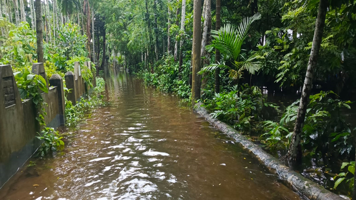 টানা বৃষ্টিতে রায়পুরে আবারও লক্ষধিক মানুষ পানিবন্দি