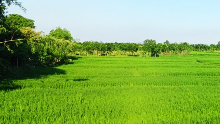 মোংলায় জমি কিনে বিপাকে পড়েছে কয়েকজন ব্যক্তি