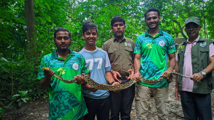 কাপ্তাইয়ে ৭ কেজি ওজনের অজগর সাপ অবমুক্ত