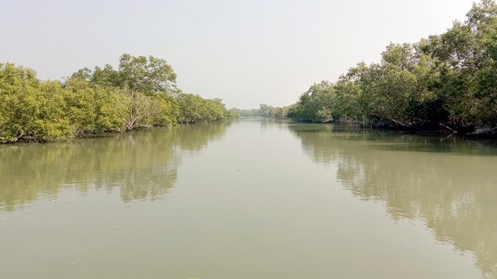 সুন্দরবনে প্রবেশ নিষিদ্ধ এলাকায় কাঁকড়া শিকারের অভিযোগে ২ জেলে কারাগারে