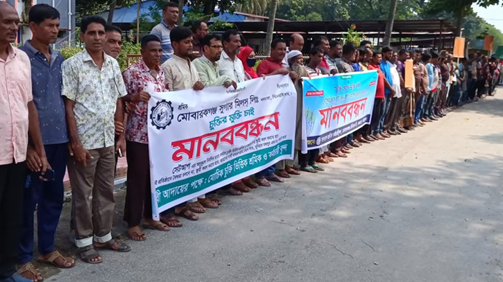 ঝিনাইদহের মোবারকগঞ্জ সুগার মিলের শ্রমিক-কর্মচারীদের মানববন্ধন