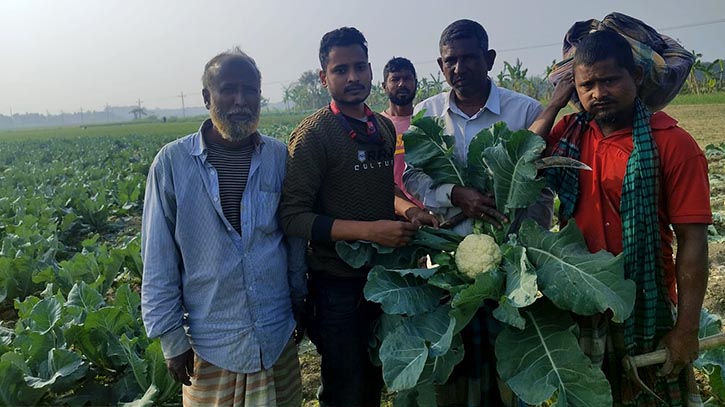 মেহেরপুরের পর রাজবাড়ীর কৃষকের পাশে ‘স্বপ্ন’