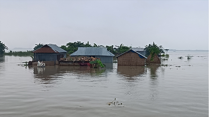 কুড়িগ্রামে পানিবন্দি ৬০ হাজার মানুষ