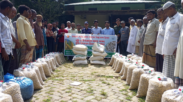 আলীকদমে কৃষকদের মাঝে ভুট্টা, বাদামের বীজ বিতরণ