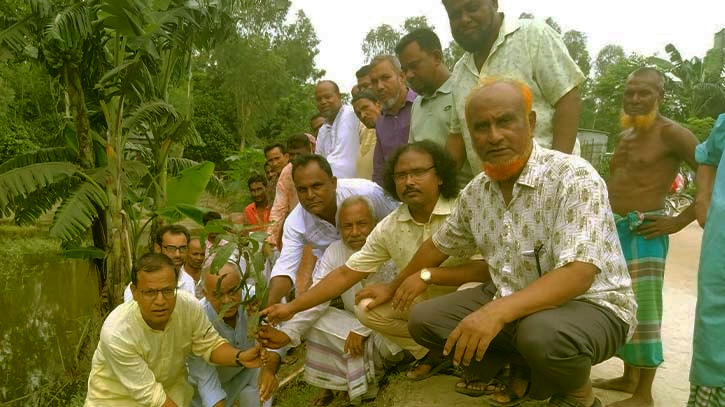 চিলমারীতে আওয়ামী লীগের সাড়ে ৫ হাজার গাছের চারা রোপন