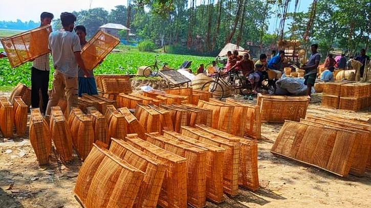 খলশানি বিক্রির ধুম পড়েছে আত্রাইয়ের হাট-বাজারে