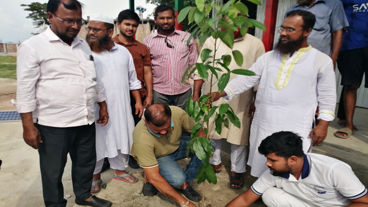 শিবচরে ব্যক্তি উদ্যোগে বৃক্ষরোপন কর্মসূচি