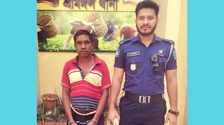 শ্রীমঙ্গলে পুলিশের বিশেষ অভিযানে গ্রেপ্তার ৩