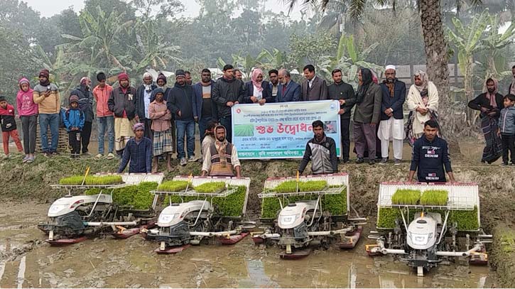 ফুলবাড়ীতে রাইস ট্রান্সপ্লান্টারের মাধ্যমে বোরো ধান চারা রোপণ কার্যক্রম শুরু